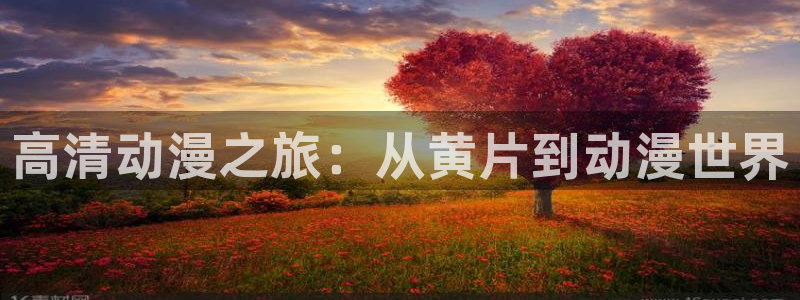 下载动漫天堂：高清动漫之旅：从黄片到动漫世界