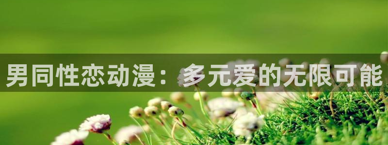 禁动漫天堂：男同性恋动漫：多元爱的无限可能