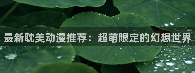 动漫天堂在线看：最新耽美动漫推荐：超萌限定的幻想世界