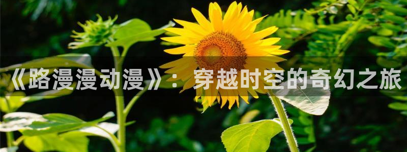 黄动漫天堂：《路漫漫动漫》：穿越时空的奇幻之旅