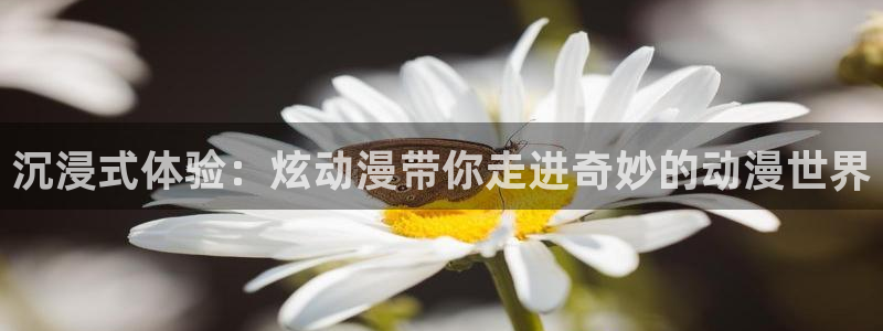 动漫天堂免费下载：沉浸式体验：炫动漫带你走进奇妙的动漫世界