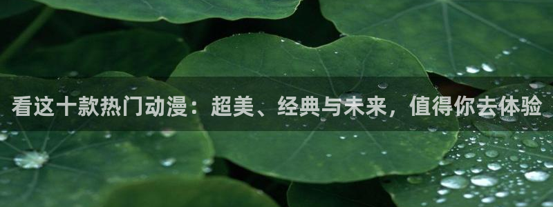 秋叶原动漫天堂：看这十款热门动漫：超美、经典与未来，值得你去体验