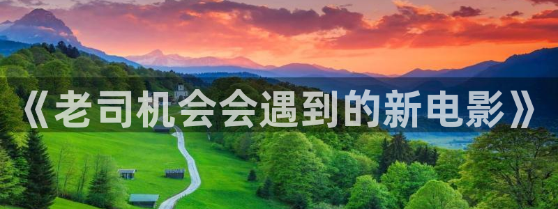 动漫天堂软件：《老司机会会遇到的新电影》