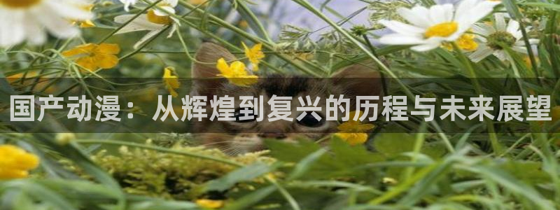 亚洲成人动漫天堂：国产动漫：从辉煌到复兴的历程与未来展望