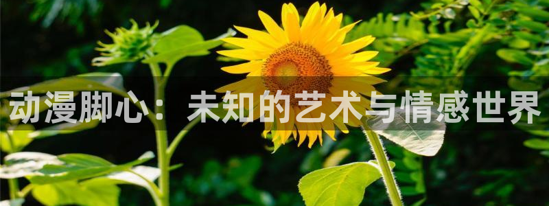 动漫天堂之吻：动漫脚心：未知的艺术与情感世界