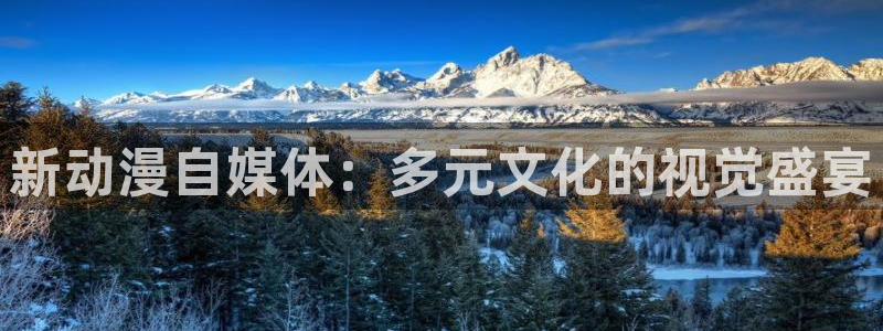 动漫天堂网站：新动漫自媒体：多元文化的视觉盛宴