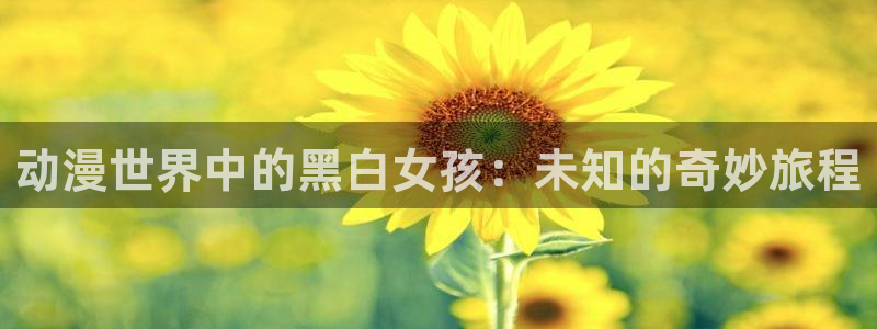 动漫天堂在线观看：动漫世界中的黑白女孩：未知的奇妙旅程