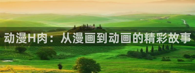 acg动漫天堂：动漫H肉：从漫画到动画的精彩故事