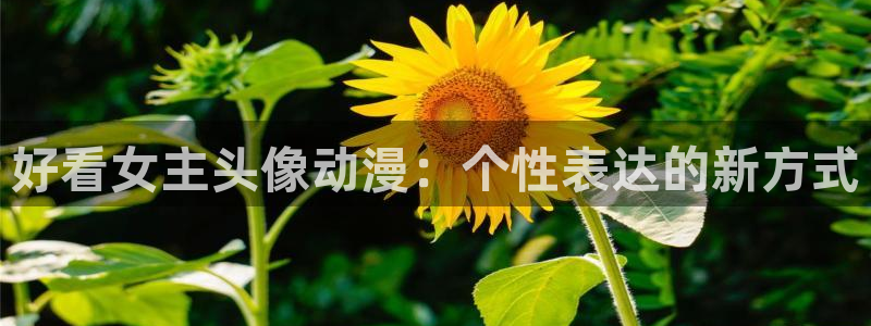禁动漫天堂