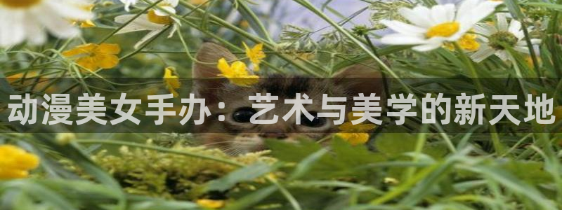 同人动漫天堂