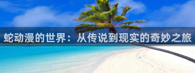 bt动漫天堂