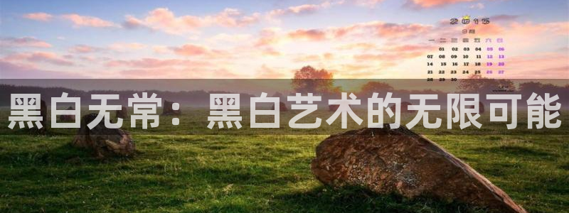 动漫天堂.：黑白无常：黑白艺术的无限可能