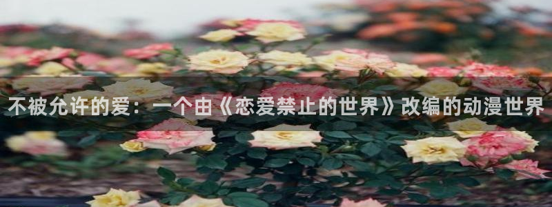 动漫天堂18：不被允许的爱：一个由《恋爱禁止的世界》改编的动漫世界