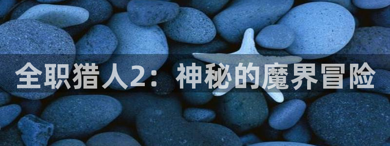 成人动漫天堂网：全职猎人2：神秘的魔界冒险