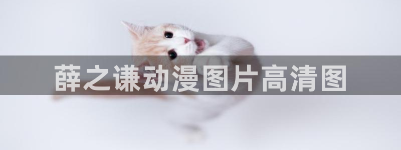 动漫天堂下载安装最新版：薛之谦动漫图片高清图
