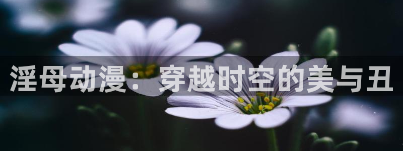 coco动漫天堂：淫母动漫：穿越时空的美与丑