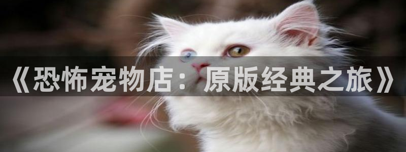 动漫天堂免费观看：《恐怖宠物店：原版经典之旅》