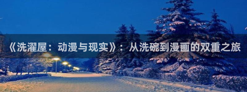 jk动漫天堂：《洗濯屋：动漫与现实》：从洗碗到漫画的双重之旅