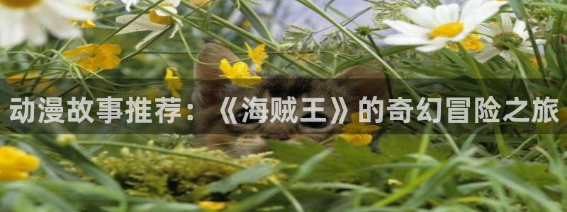 下载动漫天堂：动漫故事推荐：《海贼王》的奇幻冒险之旅