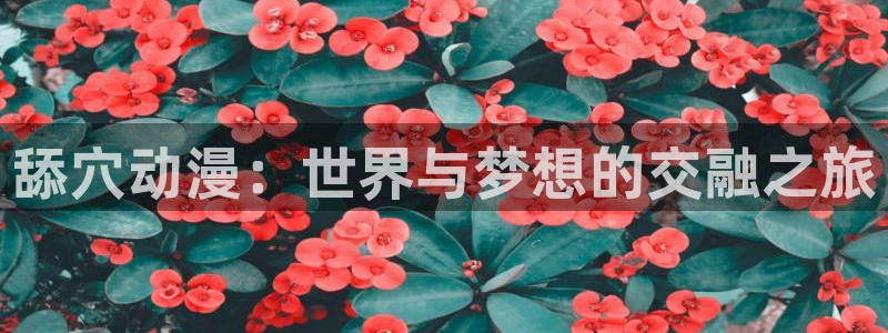 成人动漫天堂网：舔穴动漫：世界与梦想的交融之旅