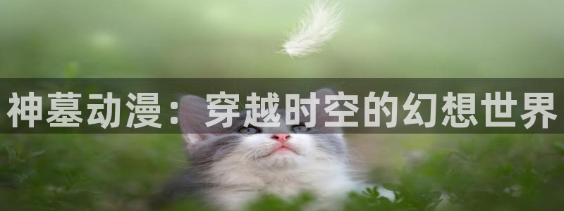 下载动漫天堂：神墓动漫：穿越时空的幻想世界