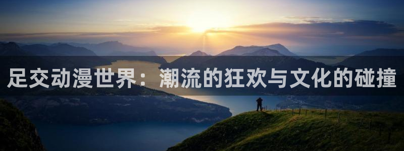 内地动漫天堂：足交动漫世界：潮流的狂欢与文化的碰撞