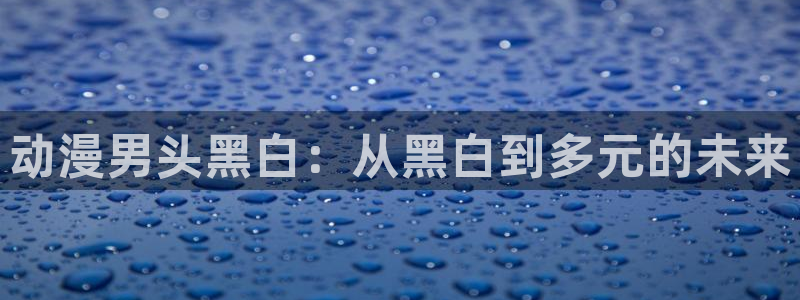 禁漫动漫天堂：动漫男头黑白：从黑白到多元的未来