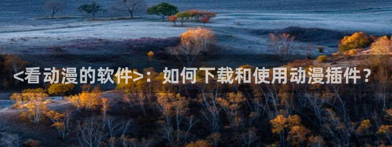 av动漫天堂网：<看动漫的软件>：如何下载和使用动漫插件？