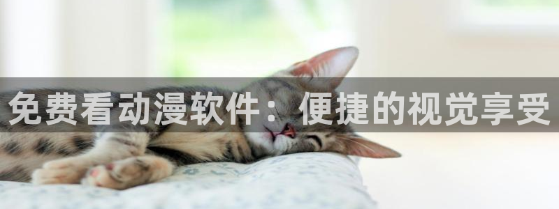 bt动漫天堂：免费看动漫软件：便捷的视觉享受