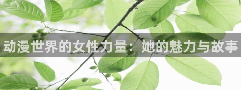 禁漫动漫天堂：动漫世界的女性力量：她的魅力与故事