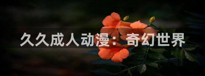 秋叶原动漫天堂：久久成人动漫：奇幻世界