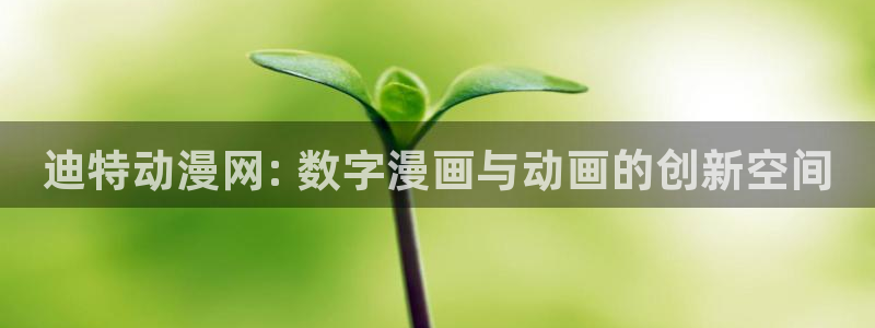 动漫天堂网：迪特动漫网: 数字漫画与动画的创新空间
