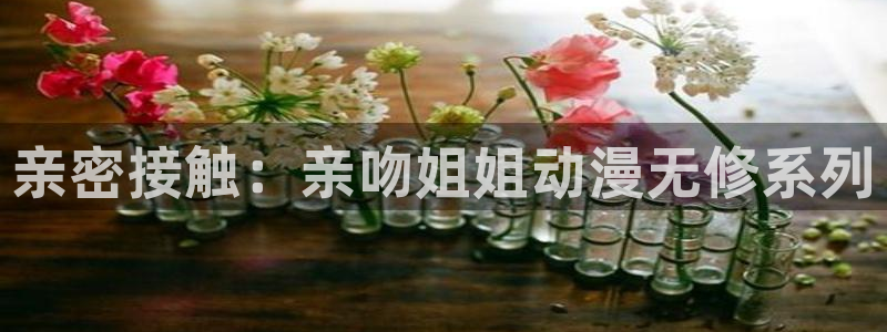 18禁动漫天堂：亲密接触：亲吻姐姐动漫无修系列