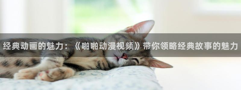 免费动漫天堂之吻：经典动画的魅力：《啪啪动漫视频》带你领略经典故事的魅力