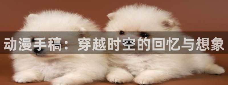男人动漫天堂在线：动漫手稿：穿越时空的回忆与想象