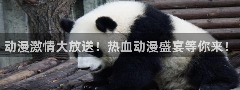 动漫天堂网址：动漫激情大放送！热血动漫盛宴等你来！