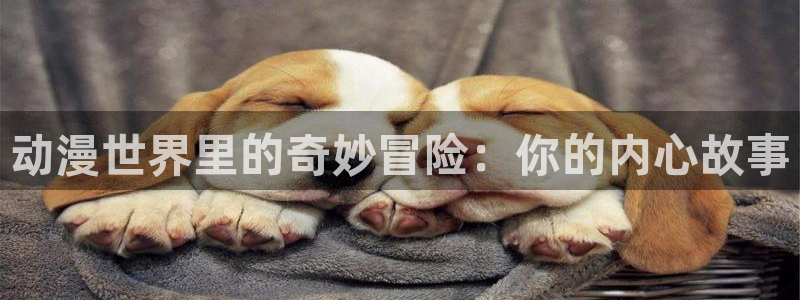 动漫天堂总站：动漫世界里的奇妙冒险：你的内心故事