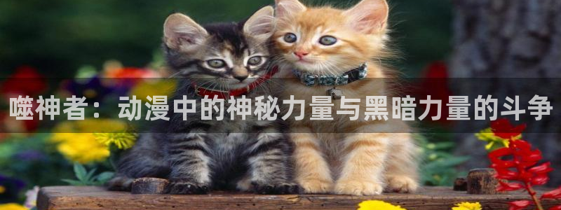 动漫天堂免费下载：噬神者：动漫中的神秘力量与黑暗力量的斗争