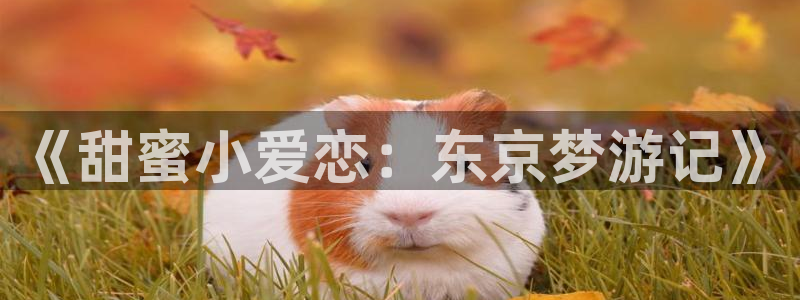 18动漫天堂：《甜蜜小爱恋：东京梦游记》