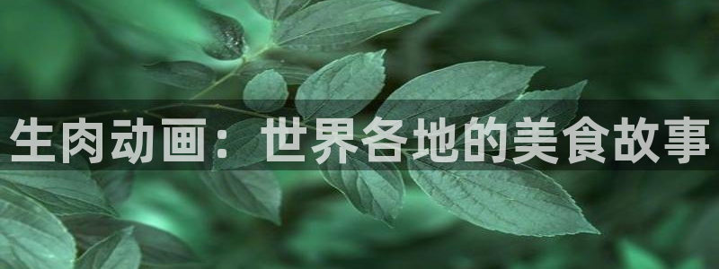 原神禁动漫天堂：生肉动画：世界各地的美食故事