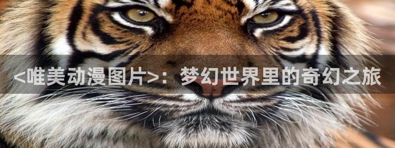 禁动漫天堂：<唯美动漫图片>：梦幻世界里的奇幻之旅
