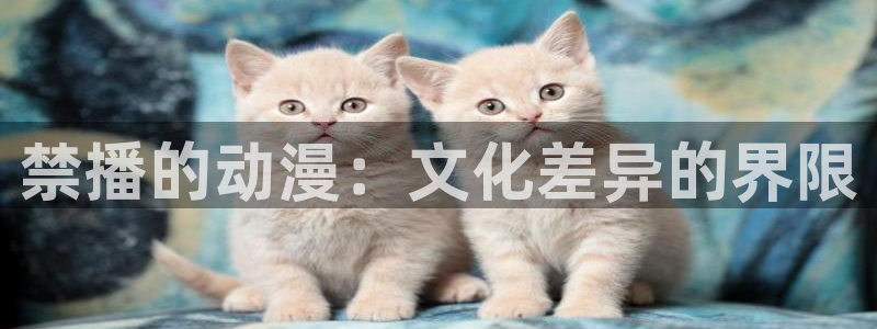 动漫天堂网站：禁播的动漫：文化差异的界限