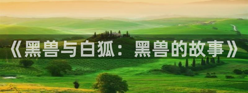 原神禁动漫天堂：《黑兽与白狐：黑兽的故事》
