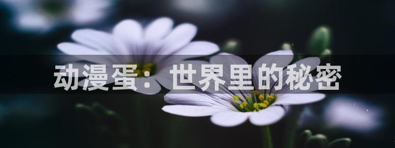 动漫天堂：动漫蛋：世界里的秘密